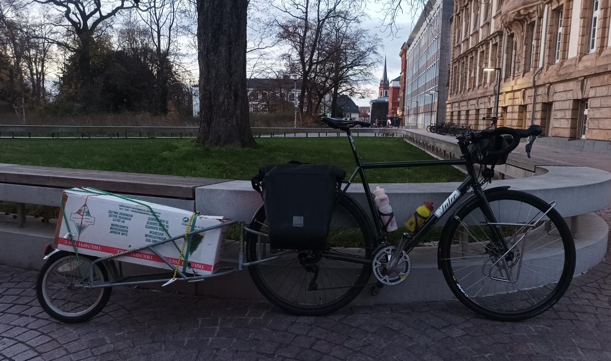 Zerlegbarer Weihnachtsbaum auf Bob Yak am Intec angehaengt.