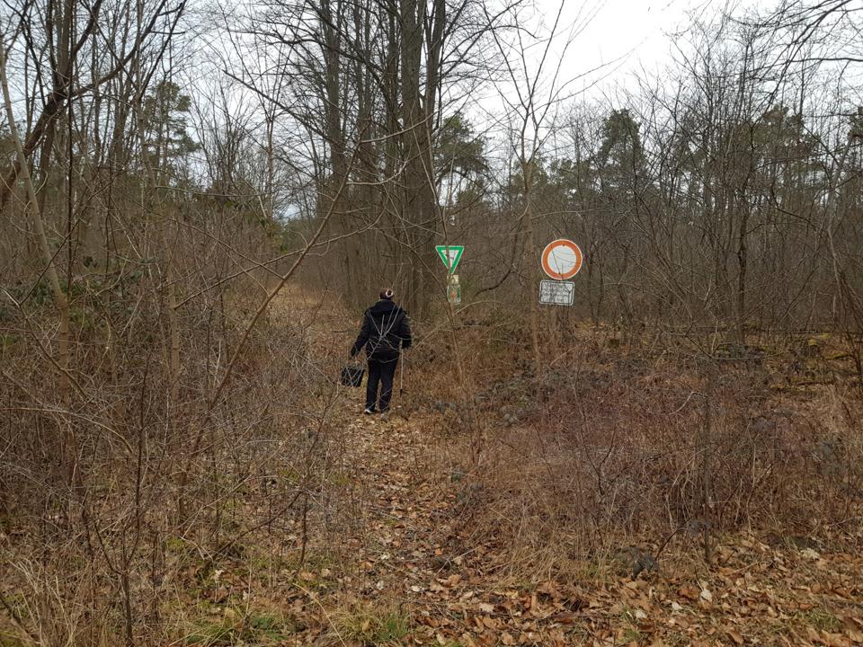 Kiara guckt in den Wald hinein.