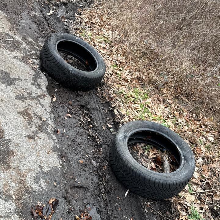 Zwei Reifen ohne Felgen