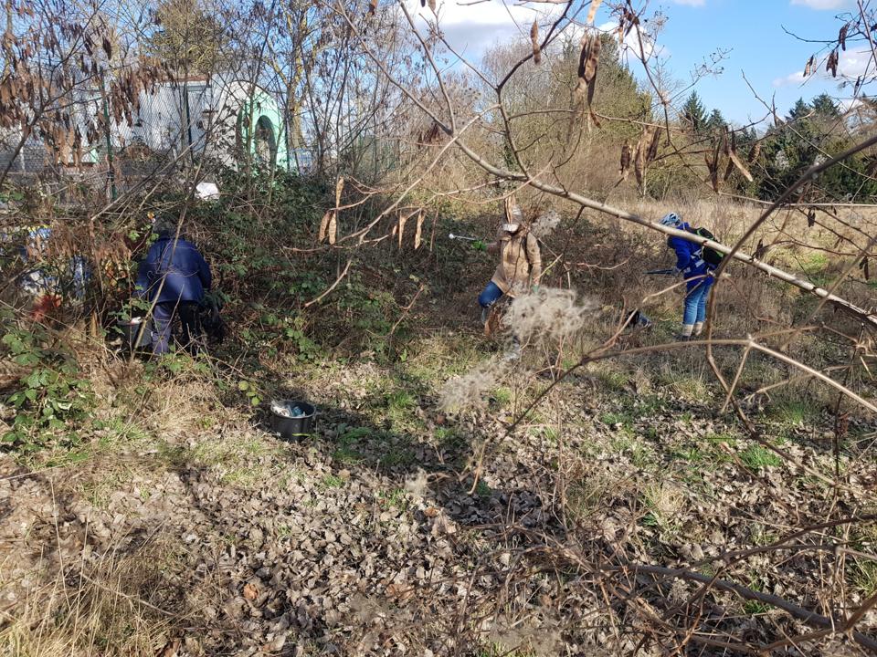 Die Sammelcrew wuselt auf der Brachflaeche