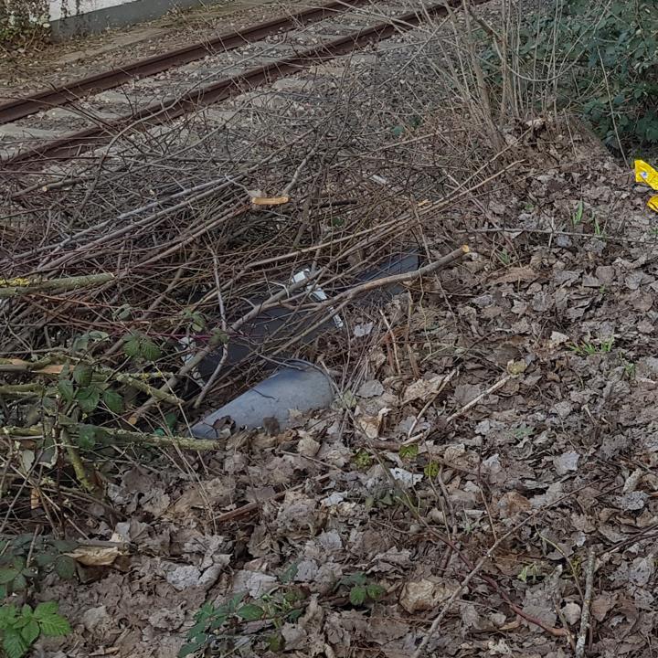 Fernseher im Gebuesch, fast nicht mehr erkennbar.