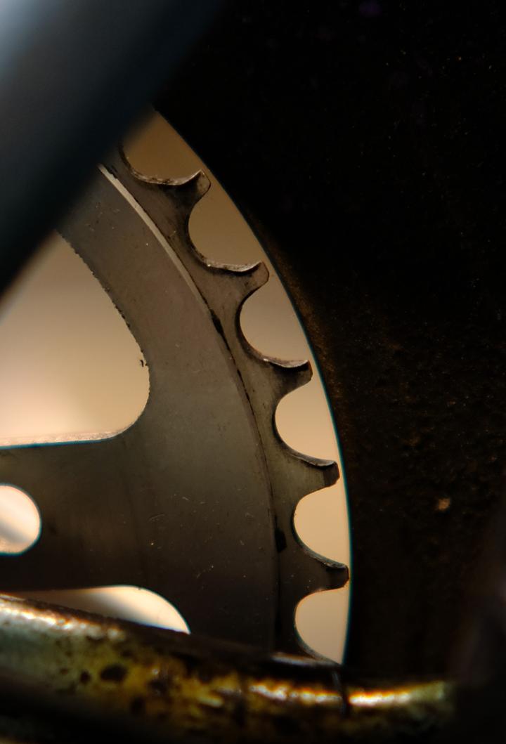 Durchgenudeltes Kettenblatt