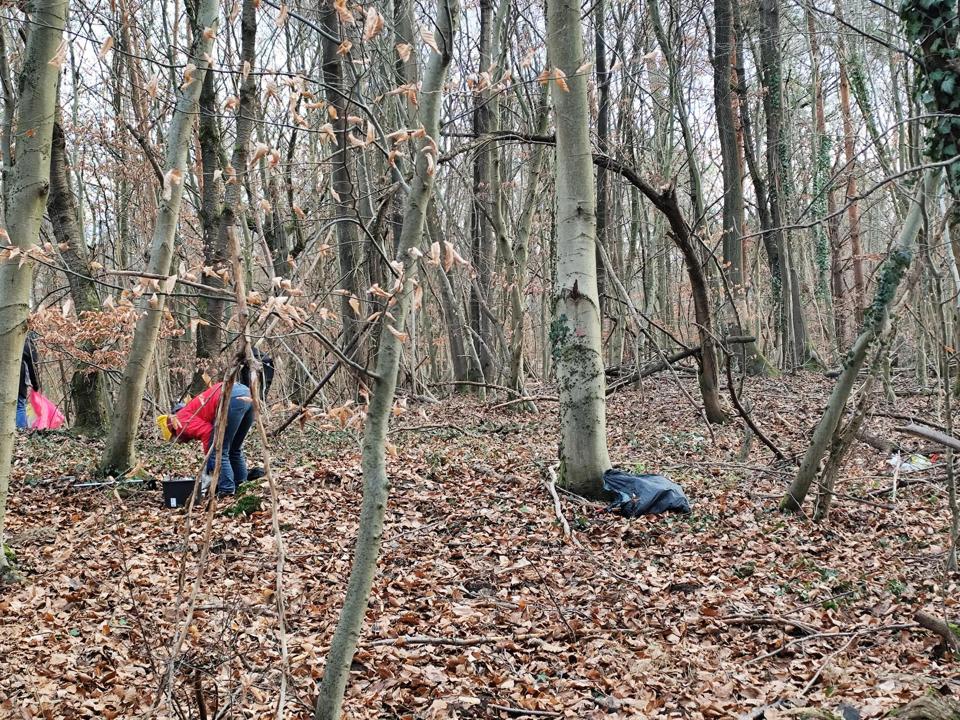 Cleanupcrew im Unterholz