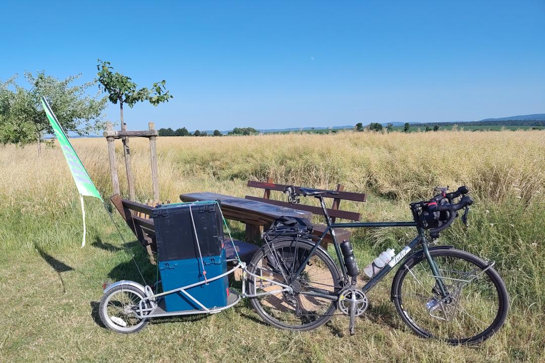 Bob Yak mit zwei L-Boxxen beladen.
