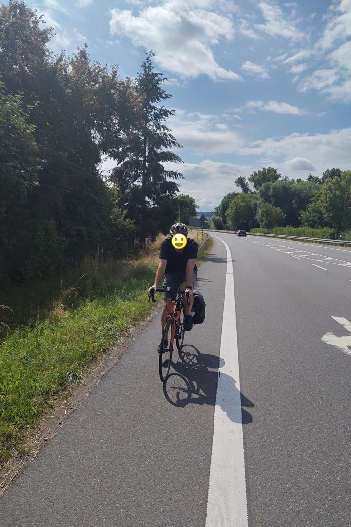 Unke auf Alleycat